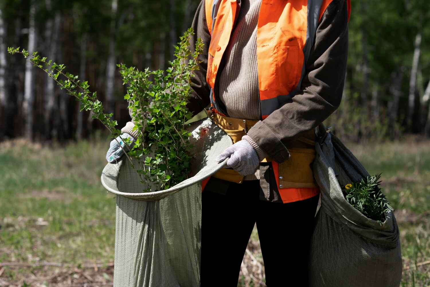 Best Tree Pruning Services  in West Bradenton, FL